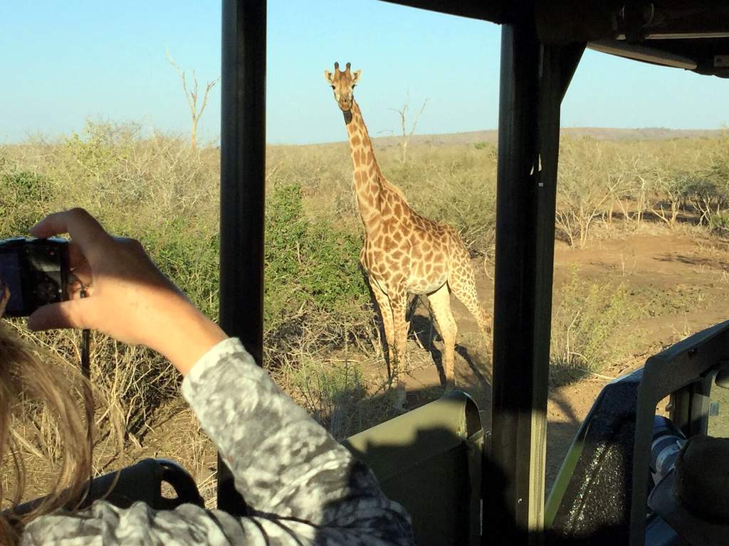 Open Vehicle Safari in Kruger National Park by Open Vehicle Safari in Kruger National Park by