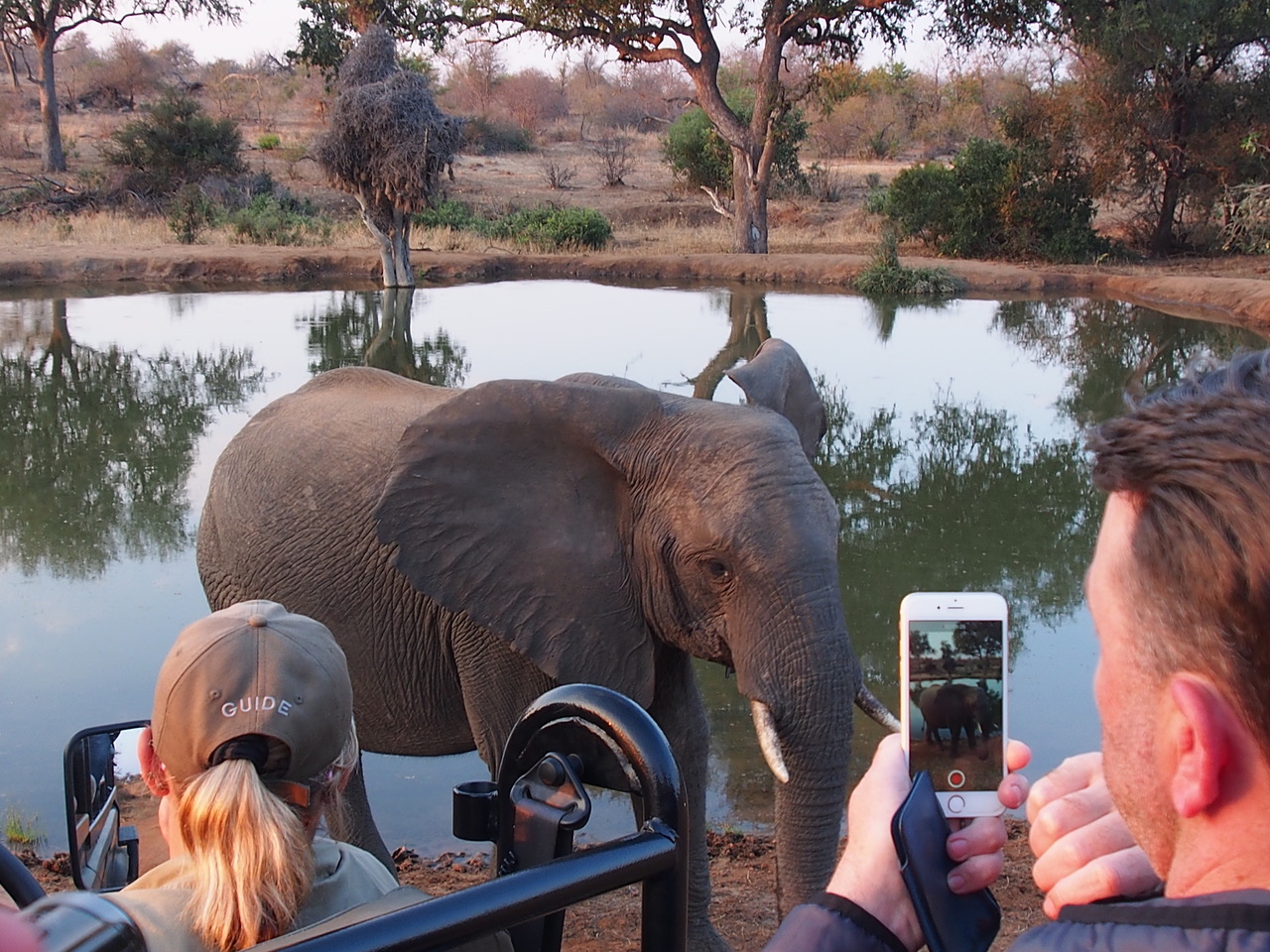 1. Echoes of Elephants at the Waterhole by 1. Echoes of Elephants at the Waterhole by