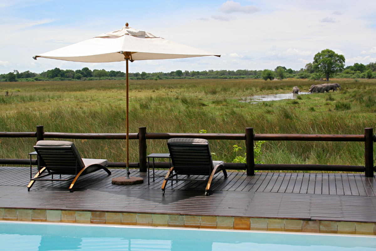 The view from Chief's camp in Botswana by The view from Chief's camp in Botswana by