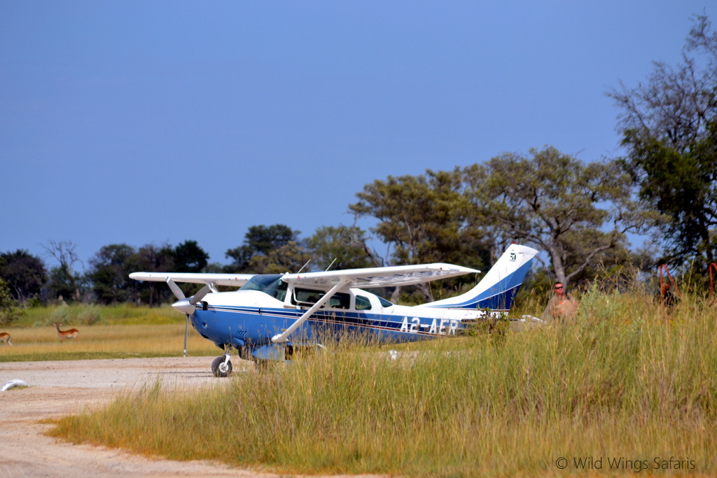 Botswana safari lodge hopper by Madi Botswana safari lodge hopper by Madi
