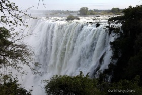 Victoria Falls